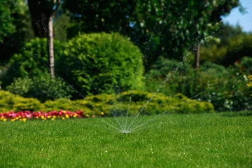 Une particularité de plombart 13 c'est que votre plombier à salon de provence peut installer votre système d'arrosage automatique dans votre jardin.